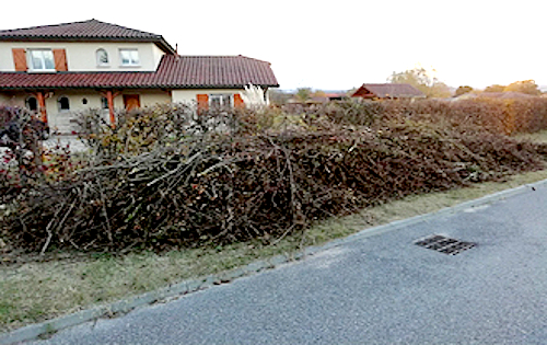 volume des branches avant broyage